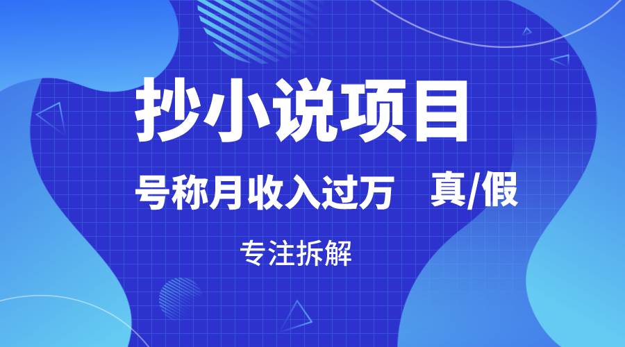 抄小说项目，号称月入过万，到底是否真实，能不能做，详细拆解-讯领网创