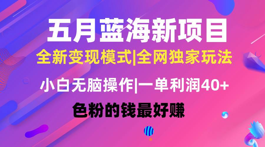 （10477期）五月蓝海项目全新玩法，小白无脑操作，一天几分钟，矩阵操作，月入4万+-讯领网创