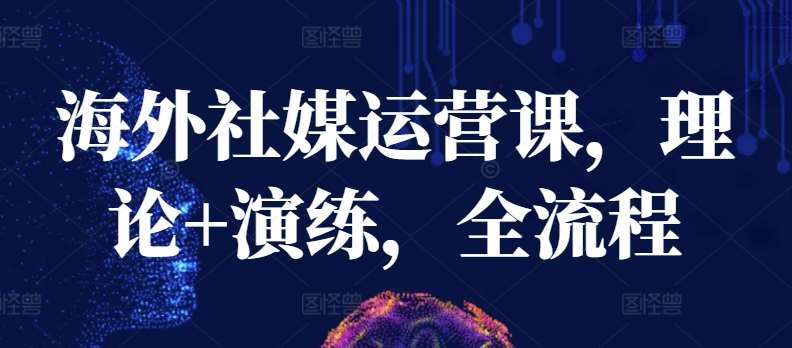 海外社媒运营课，理论+演练，全流程-讯领网创