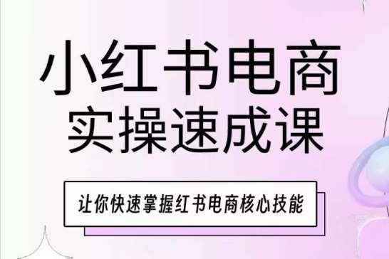 小红书电商实操速成课，让你快速掌握红书电商核心技能-讯领网创