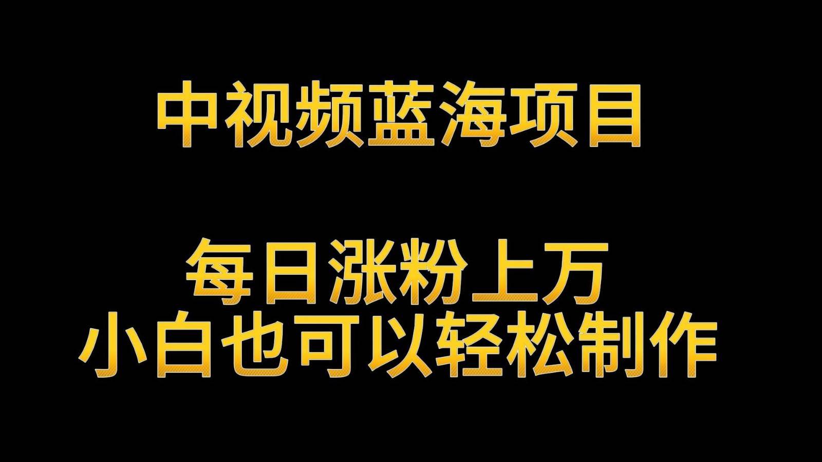 中视频蓝海项目，解读英雄人物生平，每日涨粉上万，小白也可以轻松制作，月入过万-讯领网创