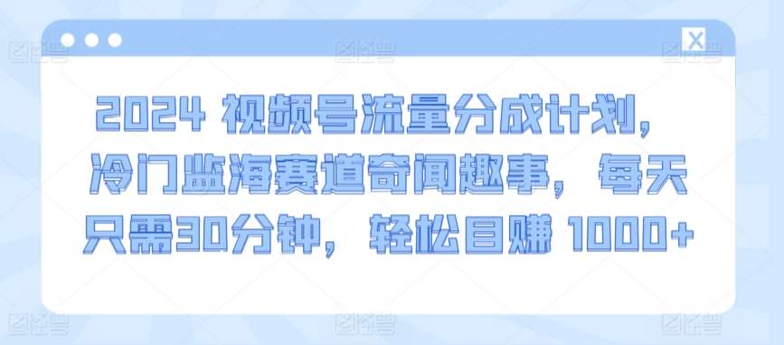 2024视频号流量分成计划，冷门监海赛道奇闻趣事，每天只需30分钟，轻松目赚 1000+【揭秘】-讯领网创