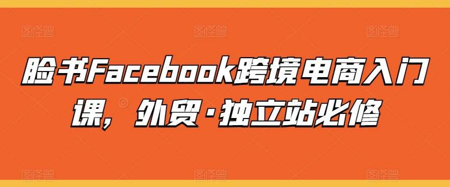 脸书Facebook跨境电商入门课，外贸·独立站必修-讯领网创