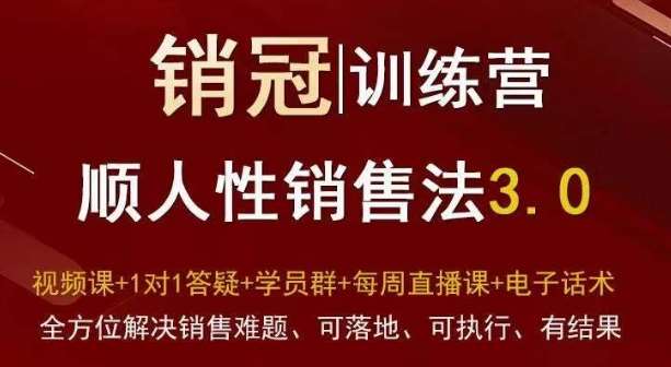 爆款！销冠训练营3.0之顺人性销售法，全方位解决销售难题、可落地、可执行、有结果-讯领网创