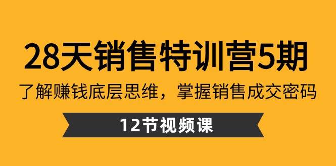 28天销售特训营5期：了解赚钱底层思维，掌握销售成交密码（12节课）-讯领网创