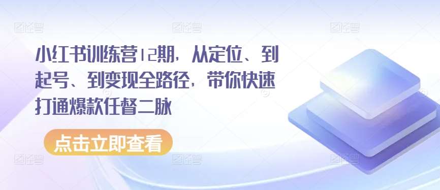 小红书训练营12期，从定位、到起号、到变现全路径，带你快速打通爆款任督二脉-讯领网创