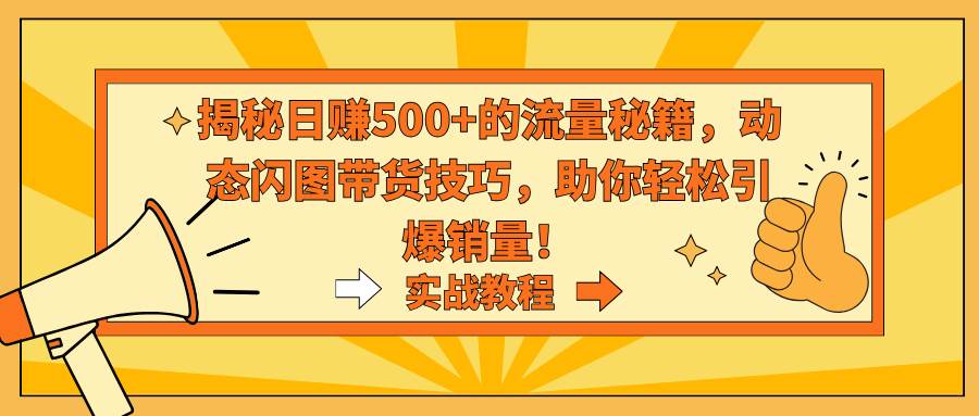 （9058期）揭秘日赚500+的流量秘籍，动态闪图带货技巧，助你轻松引爆销量！-讯领网创