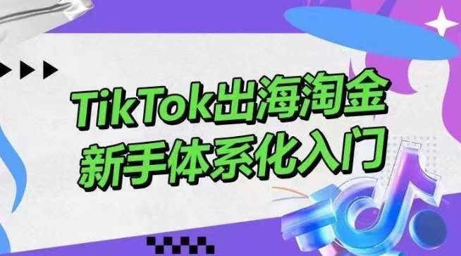 TikTok出海淘金，新手体系化入门，零基础快速入门，掌握短视频、直播带货等引流到变现的知识-讯领网创