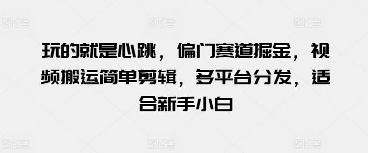 玩的就是心跳，偏门赛道掘金，视频搬运简单剪辑，多平台分发，适合新手小白【揭秘】-讯领网创