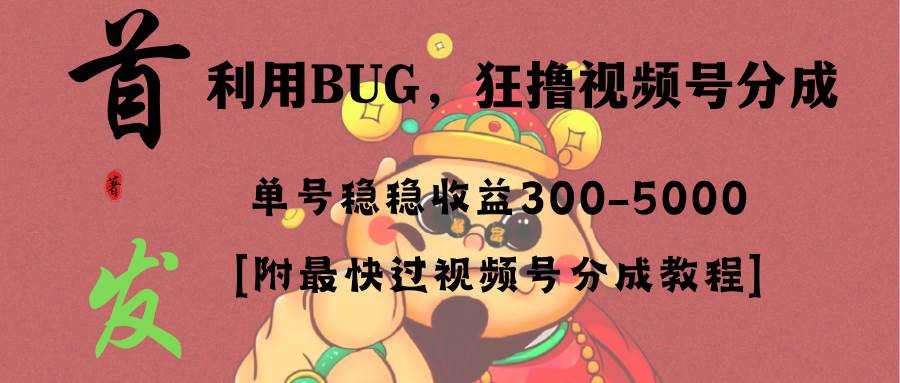 （8549期）全网独家首发，视频号BUG，超短期项目，单号每日净收益300-5000！-讯领网创