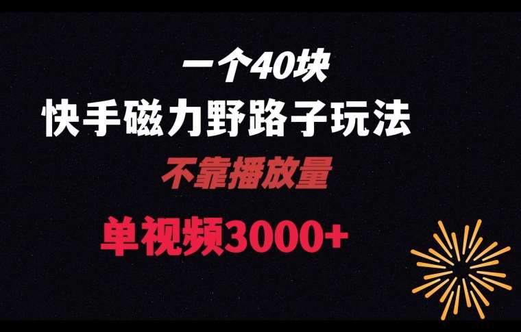 一个40块，快手联合美团磁力新玩法，无视机制野路子玩法，单视频收益4位数【揭秘】-讯领网创