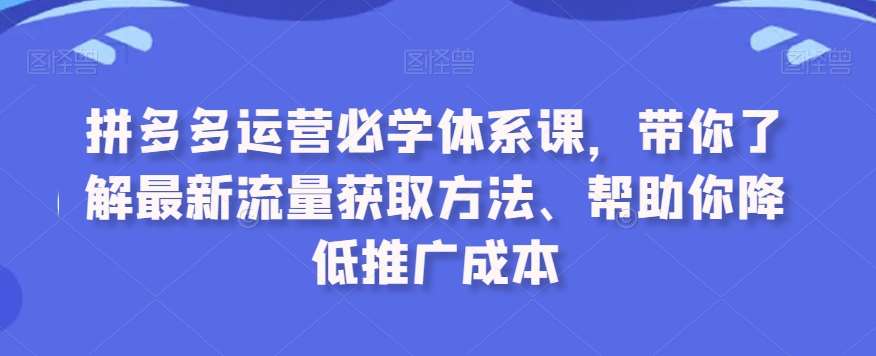 拼多多运营必学体系课，带你了解最新流量获取方法、帮助你降低推广成本-讯领网创