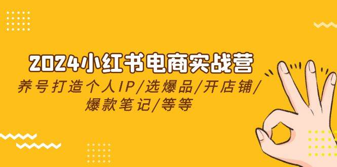 2024小红书电商实战营，养号打造IP/选爆品/开店铺/爆款笔记/等等（24节）-讯领网创