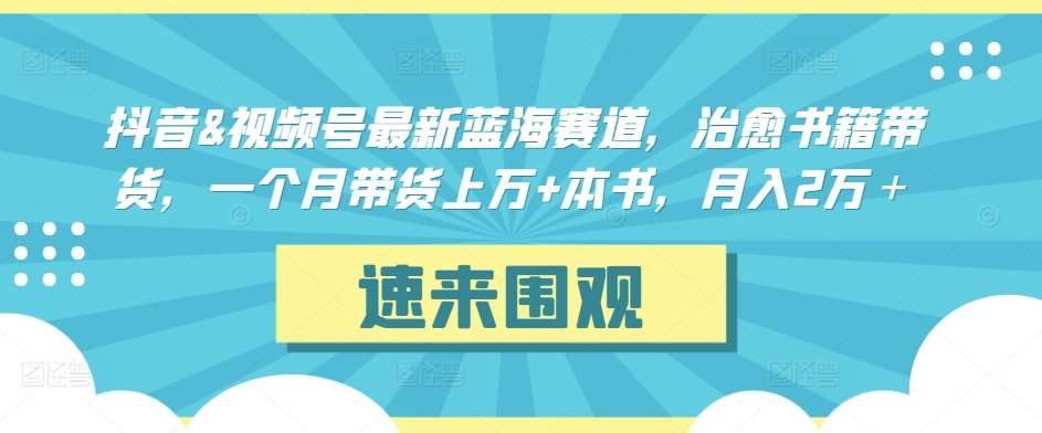 抖音&视频号最新蓝海赛道，治愈书籍带货，一个月带货上万+本书，月入2万＋【揭秘】-讯领网创