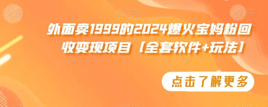 外面卖1999的2024爆火宝妈粉回收变现项目【全套软件+玩法】【揭秘】-讯领网创