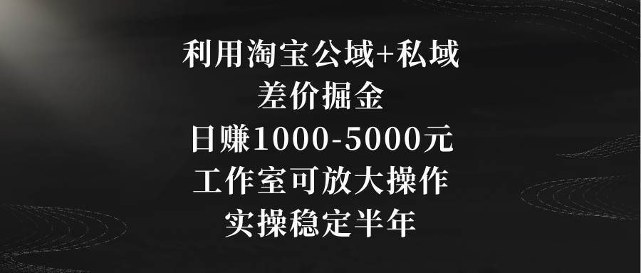 利用淘宝公域+私域差价掘金，日赚1000-5000元，工作室可放大操作，实操…-讯领网创