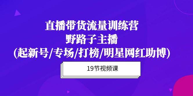 （10016期）直播带货流量特训营，野路子主播(起新号/专场/打榜/明星网红助博)19节课-讯领网创