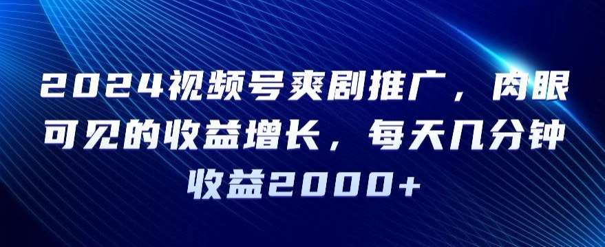 2024视频号爽剧推广，肉眼可见的收益增长，每天几分钟收益2000+【揭秘】-讯领网创