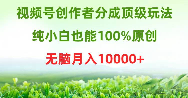 视频号创作者分成顶级玩法，纯小白也能100%原创，无脑月入10000+-讯领网创