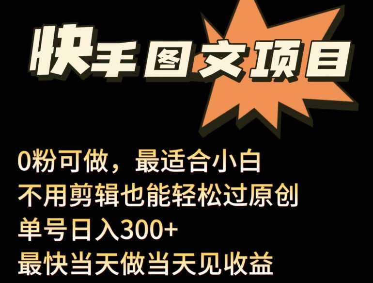 24年最新快手图文带货项目，零粉可做，不用剪辑轻松过原创单号轻松日入300+【揭秘】-讯领网创