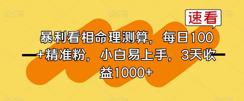 暴利看相命理测算，每日100+精准粉，小白易上手，3天收益1000+【揭秘】-讯领网创