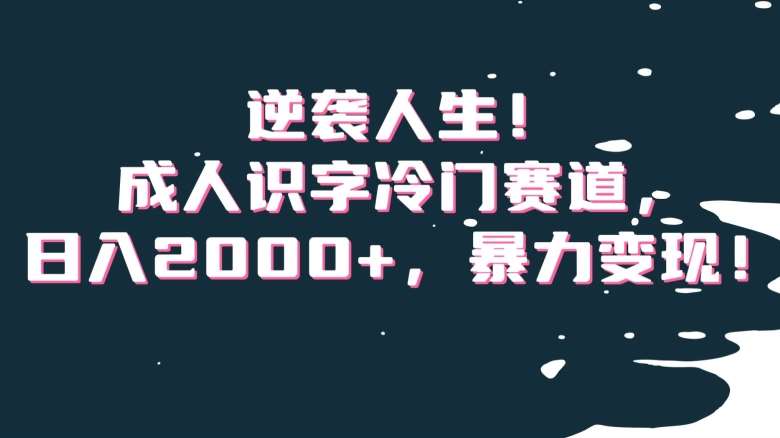 逆袭人生！成人识字冷门赛道，日入2000+，暴力变现！【揭秘】-讯领网创