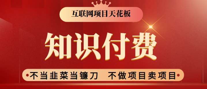 2024互联网项目天花板，新手小白也可以通过知识付费月入10W，实现财富自由【揭秘】-讯领网创