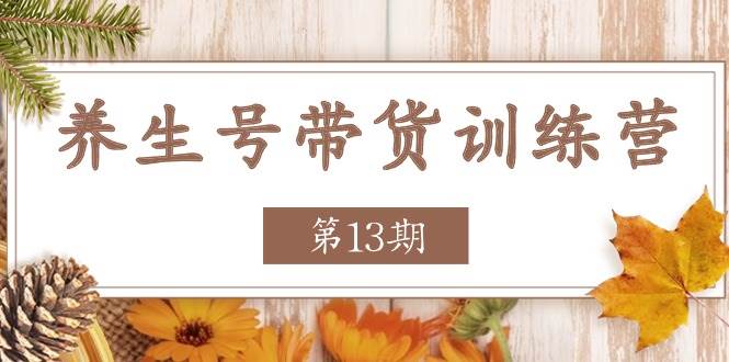 （11275期）养生号-带货训练营【第13期】收益更稳定的玩法，让你带货收益爆炸-讯领网创