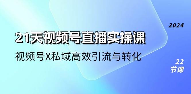 （10966期）21天-视频号直播实操课，视频号X私域高效引流与转化（22节课）-讯领网创