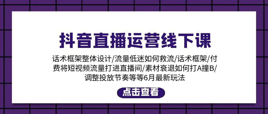 （11211期）抖音直播运营线下课：话术框架/付费流量直播间/素材A撞B/等6月新玩法-讯领网创