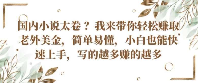 国内小说太卷 ?带你轻松赚取老外美金，简单易懂，小白也能快速上手，写的越多赚的越多【揭秘】-讯领网创