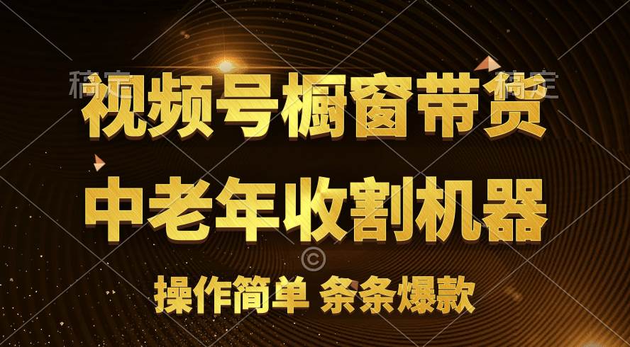 （11009期）[你的孩子成功取得高位]视频号最火爆赛道，橱窗带货，流量分成计划，条…-讯领网创