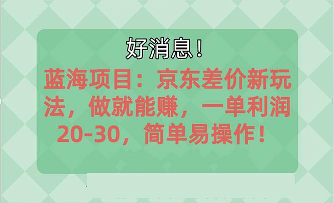 （10989期）越早知道越能赚到钱的蓝海项目：京东大平台操作，一单利润20-30，简单…-讯领网创