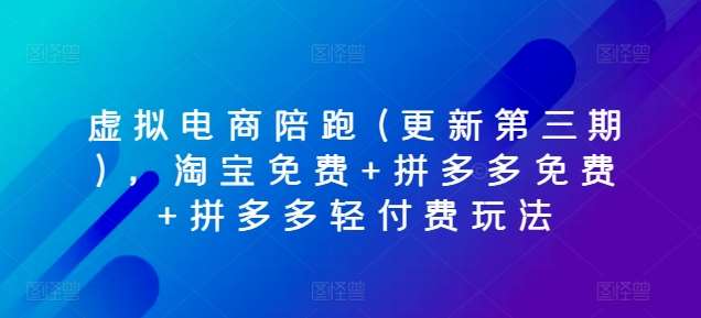 虚拟电商陪跑(更新第三期)，淘宝免费+拼多多免费+拼多多轻付费玩法-讯领网创