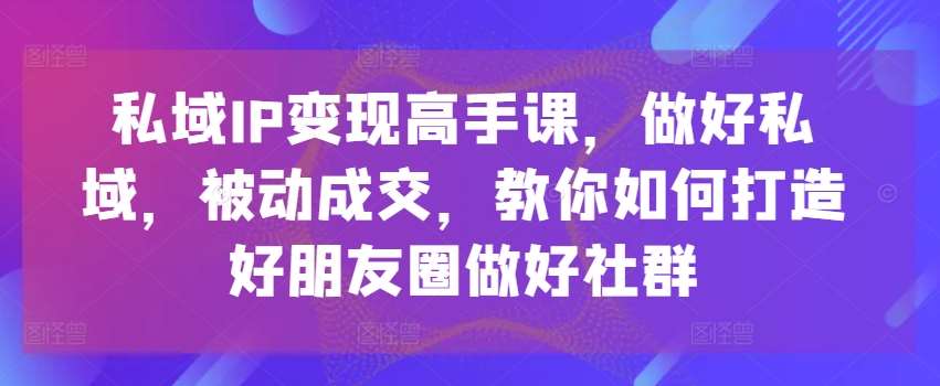 私域IP变现高手课，做好私域，被动成交，教你如何打造好朋友圈做好社群-讯领网创