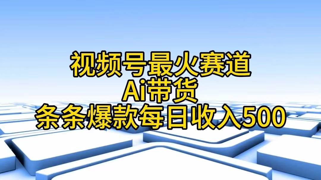 （11038期）视频号最火赛道——Ai带货条条爆款每日收入500-讯领网创