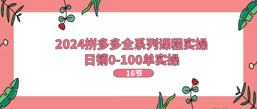 （11222期）2024拼多多全系列课程实操，日销0-100单实操【16节课】-讯领网创