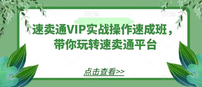 速卖通VIP实战操作速成班，带你玩转速卖通平台-讯领网创