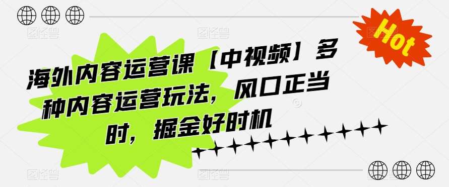 海外内容运营课【中视频】多种内容运营玩法，风口正当时，掘金好时机-讯领网创