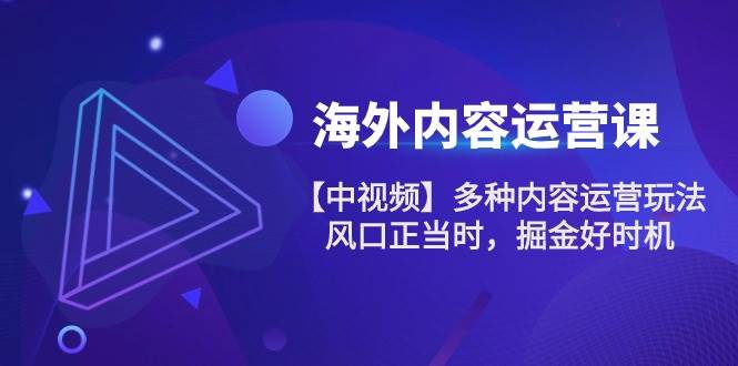 （10833期）海外内容 运营课【中视频】多种内容运营玩法 风口正当时 掘金好时机-101节-讯领网创