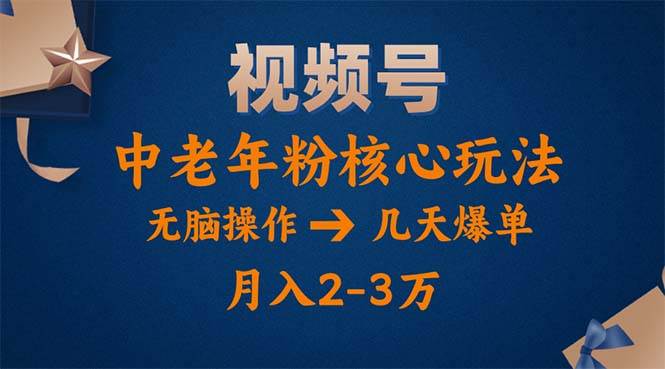 （11288期）视频号火爆玩法，高端中老年粉核心打法，无脑操作，一天十分钟，月入两万-讯领网创