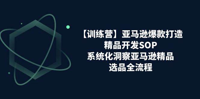 （11210期）【训练营】亚马逊爆款打造之精品开发SOP，系统化洞察亚马逊精品选品全流程-讯领网创