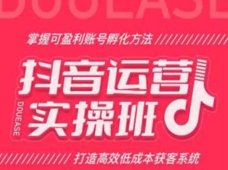 抖音运营实操班，掌握可盈利账号孵化方法，打造高效低成本获客系统-讯领网创