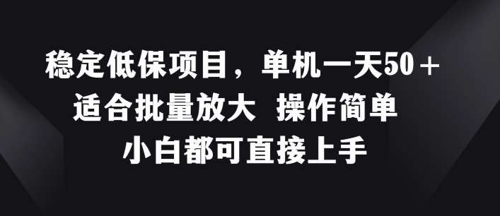 稳定低保项目，单机一天50+适合批量放大 操作简单 小白都可直接上手【揭秘】-讯领网创