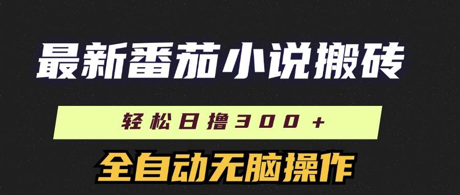 （11904期）最新番茄小说搬砖，日撸300＋！全自动操作，可矩阵放大-讯领网创