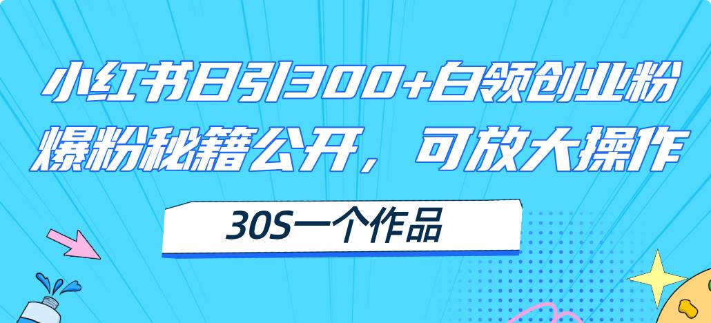 （11692期）小红书日引300+高质白领创业粉，可放大操作，爆粉秘籍！30s一个作品-讯领网创