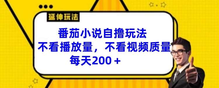 番茄小说自撸玩法，不看播放量，不看视频质量，每天200+【揭秘】-讯领网创