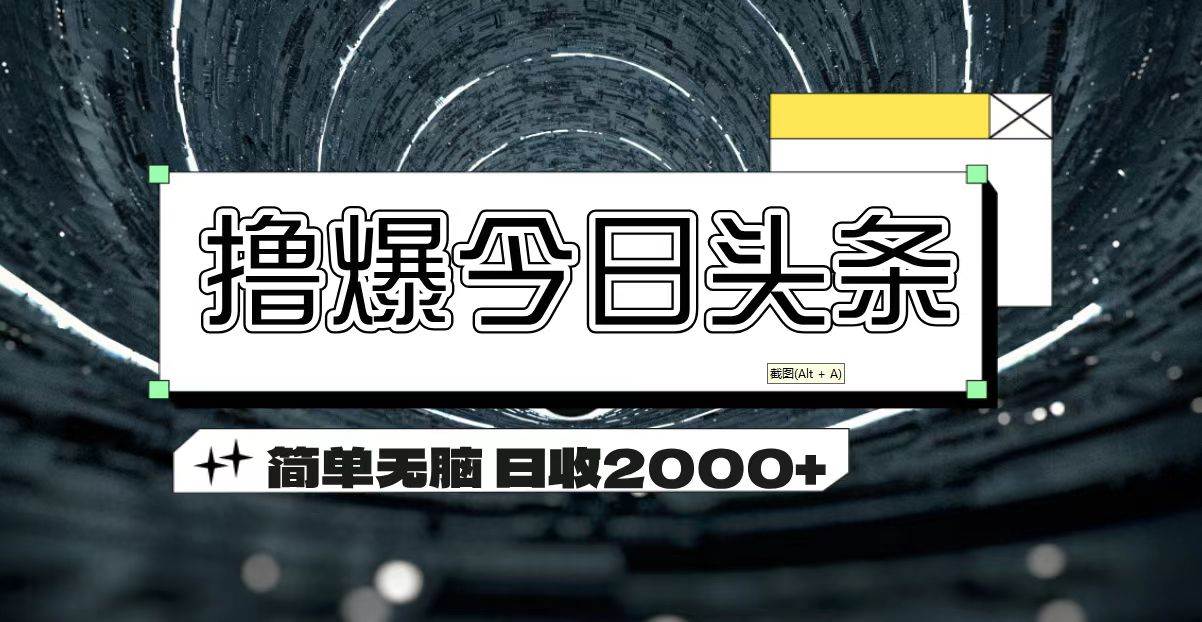 （11665期）撸爆今日头条 简单无脑操作 日收2000+-讯领网创