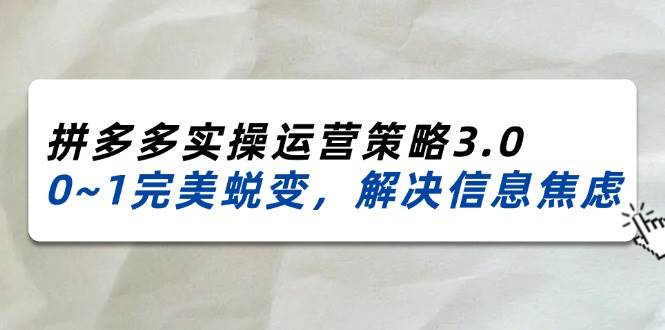 （11658期）2024_2025拼多多实操运营策略3.0，0~1完美蜕变，解决信息焦虑（38节）-讯领网创