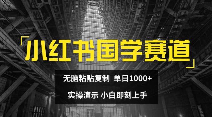 小红书国学赛道，无脑粘贴复制，单日1K，实操演示，小白即刻上手【揭秘】-讯领网创